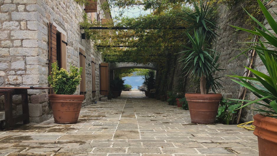 Picturesque stone alley adorned with lush potted plants, perfect for a tranquil summer scene.